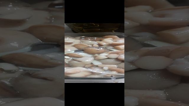 20241201_121944.mp4