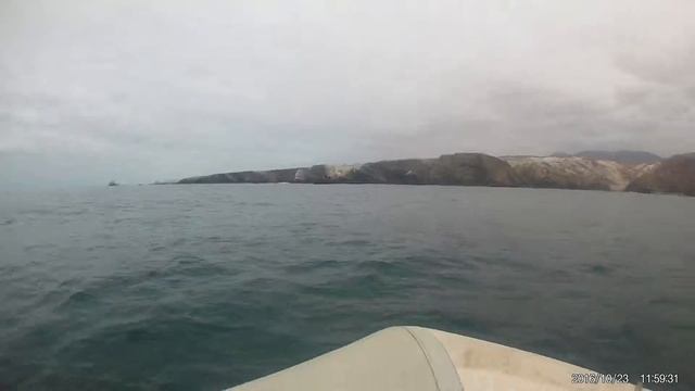 Yamaha 9.9 2 Stroke / Rib 310 Offshore
