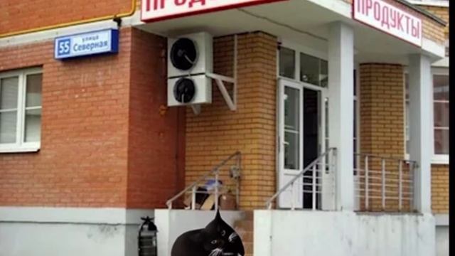 с хлебом