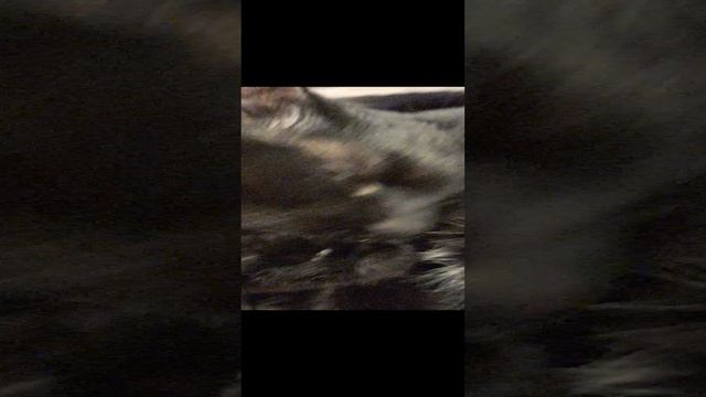 1000000445.mp4