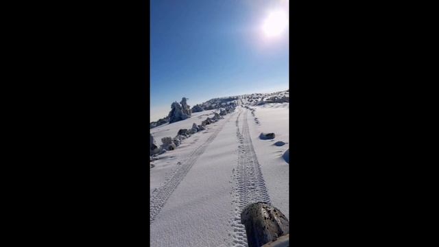 1 Декабря 2024 года