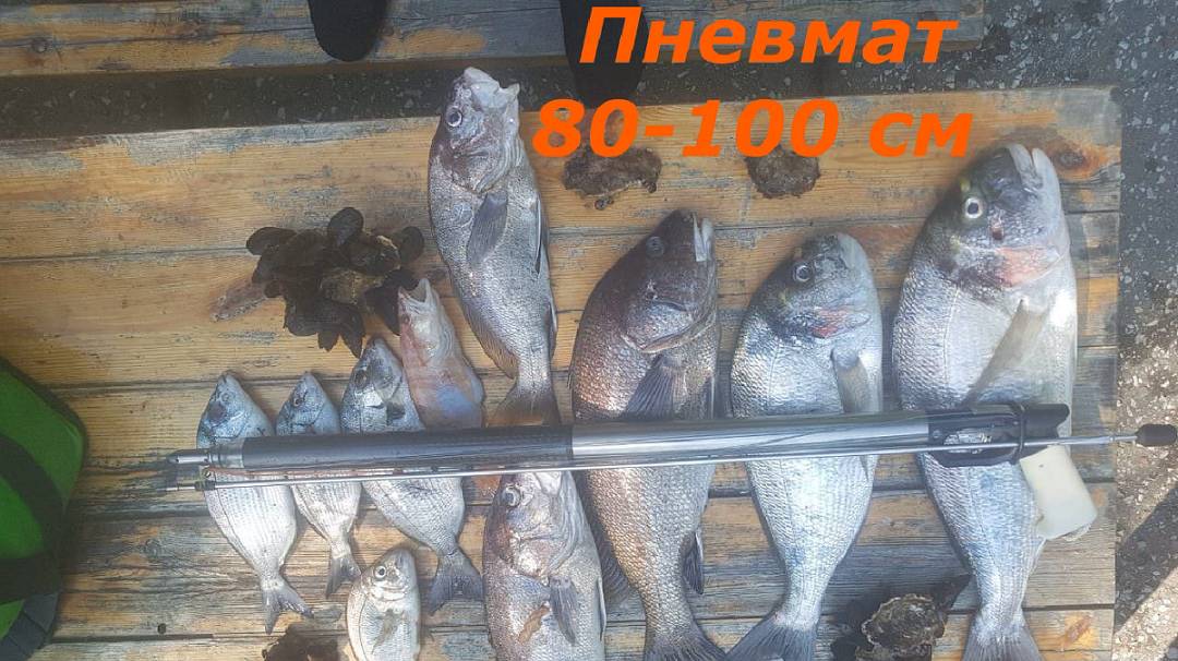 Пневмат 80-100 см от Юрия Мартыновского. Выпуск 4