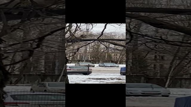 Гайка 🐿️ в Че