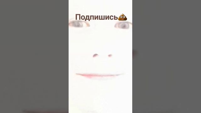 подпишись