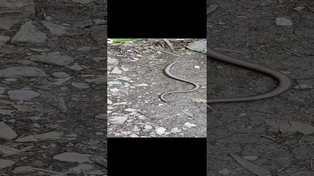 1000098761.mp4