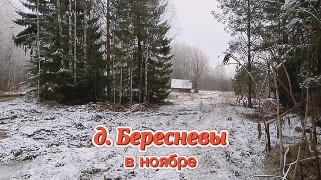 Деревня Бересневы в ноябре.mp4