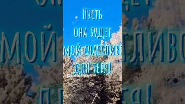 Первый день зимы в Красноярском крае.1.12.2024г.