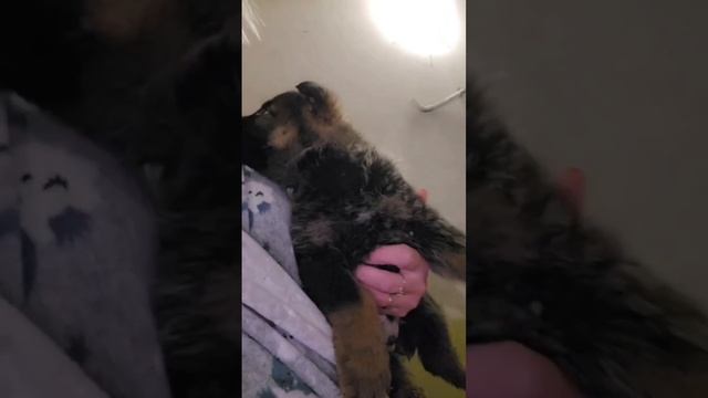 9 малышей в мороз выкинули на остановке