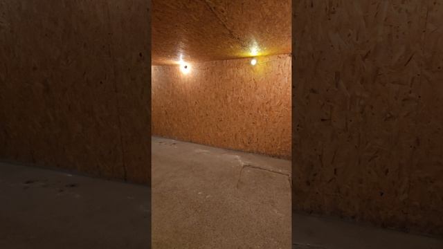 1000029466.mp4