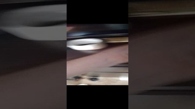 1000008233.mp4
