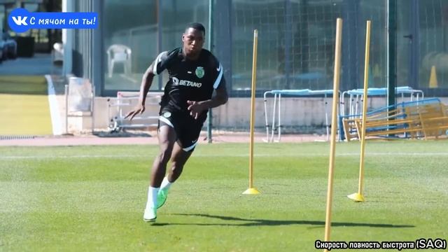 Скорость ловкость быстрота (SAQ)