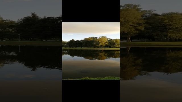 VID_20200821_192916