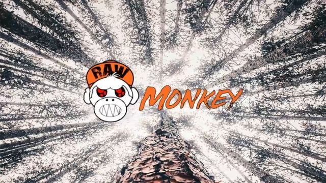 Hostylez - When Lights Go Out (MELODIC RAW) [MONKEY TEMPO]