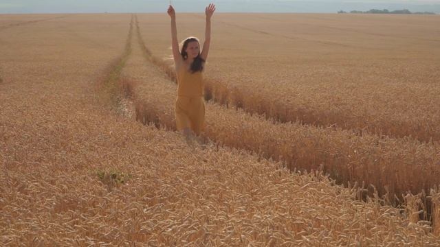 5104848-hd_1920_1080_25fps