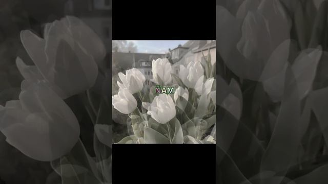 белый