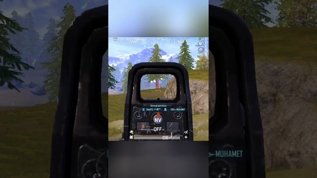 1000004882.mp4