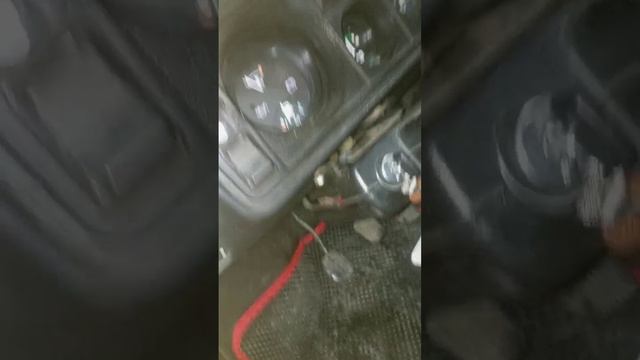 1000010083.mp4