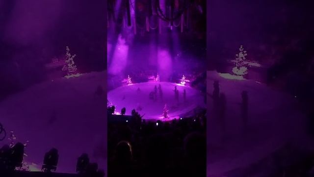 🎪Цирк 5 континентов Ставрополь ноября 3