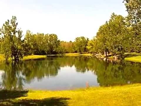 Homes for Sale - 238 Broken Arrow 99 Elliston MT 59728 - Wendy Sabo