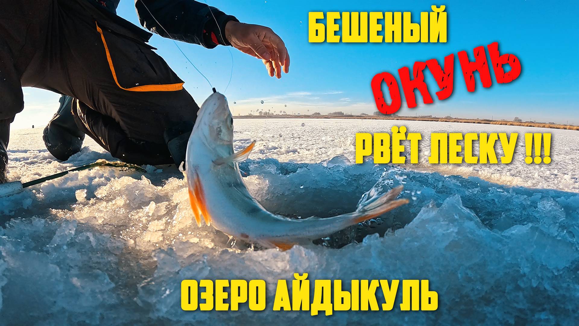 БЕШЕНЫЙ ОКУНЬ РВЕТ ЛЕСКУ!!! ОЗЕРО АЙДЫКУЛЬ