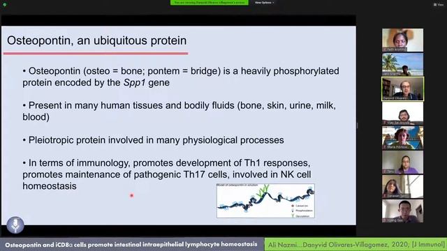 Antibuddies JC #20: Role of Osteopontin in intestinal immunity and homeostasis [With Dr. Olivares..