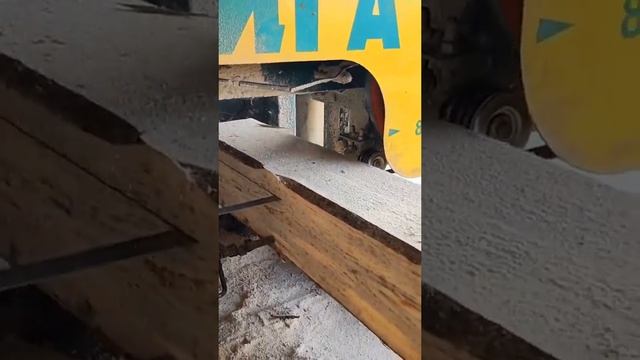 Ленточная пилорама в действии