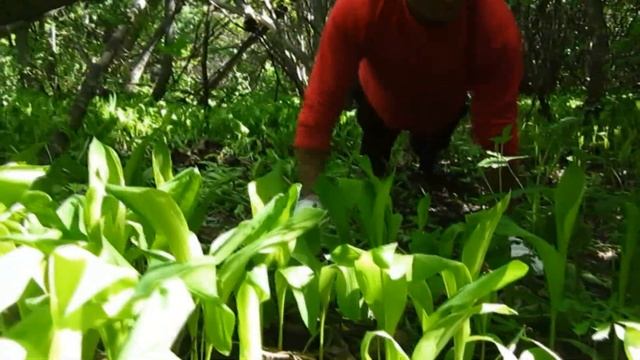 Ds Workout - Closer To Nature(1080 HD)