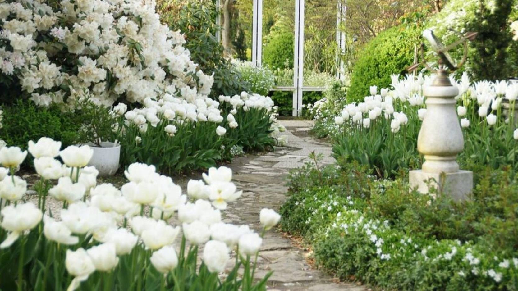 Белый сад: Идеи для дачного дизайна в одном цвете