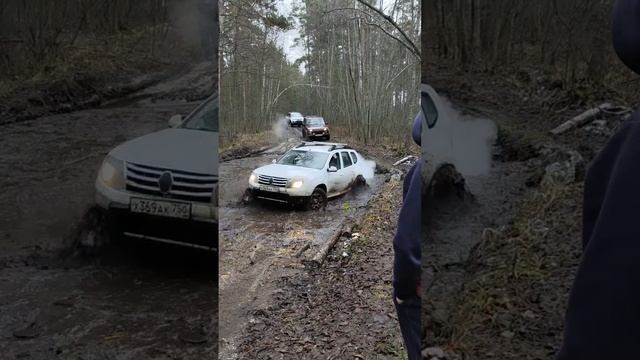 Дастер против грязи