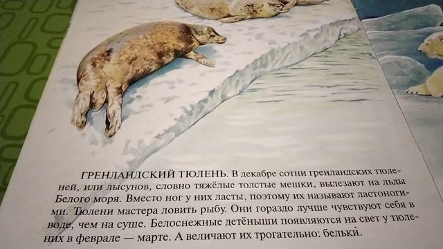 Кто  живёт на Севере?ч.2 🐻❄️ Автор:А. С. Барков.🦭( Звук ☝️)6. 10.2023 г.