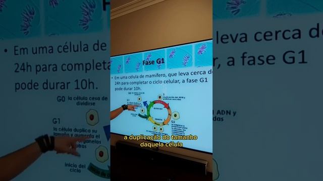 Fase G1 do Ciclo Celular