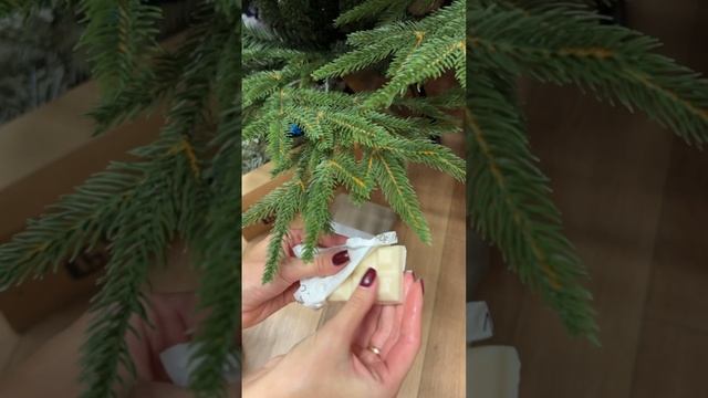 VID_20241202_095014_291.mp4.mov