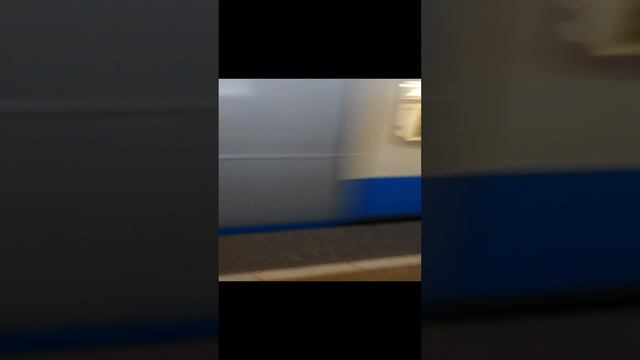 видео про уезд из отпуска.