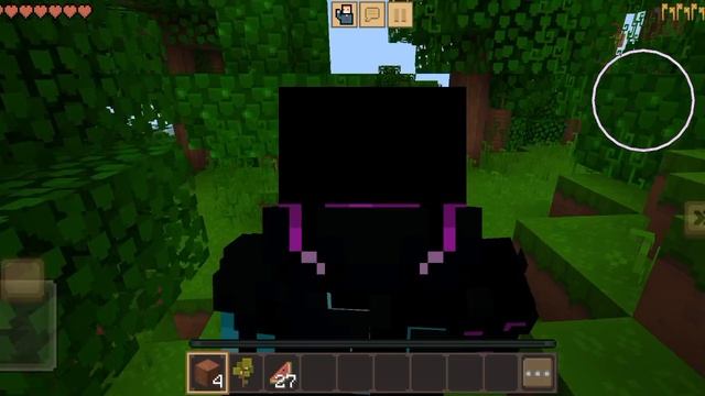 1000001254.mp4