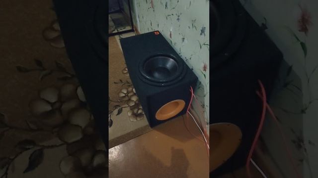 1000107558.mp4