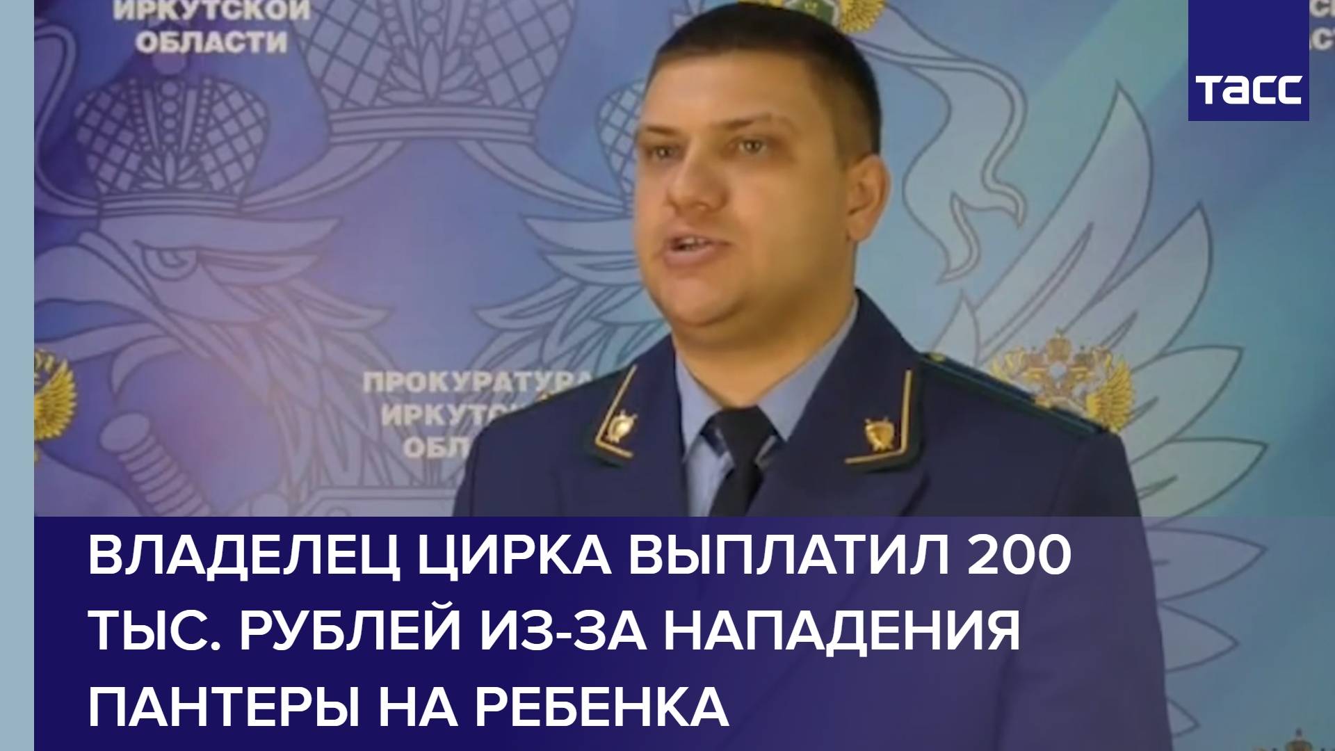 Владелец цирка выплатил 200 тыс. рублей из-за нападения пантеры на ребенка