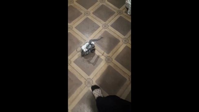 Робот Драчун2
