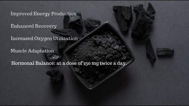 Berberine and Shilajit: A runner's experience.