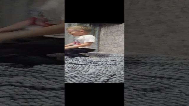 по прыгунья стрекоза
