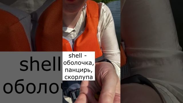 Мама, а как это будет? Snail shells, shell