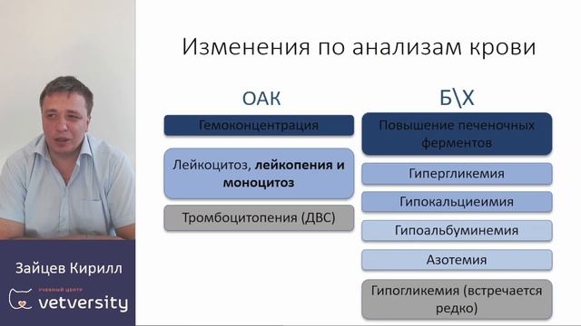 Лекция "Панкреатиты"