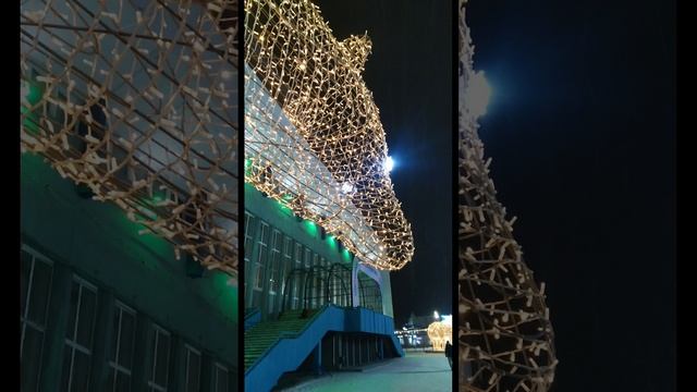 2024-12-01-213236791.mp4 Елена Дружиненко Воркута Спорт