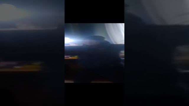 VID_20241124_130233.mp4