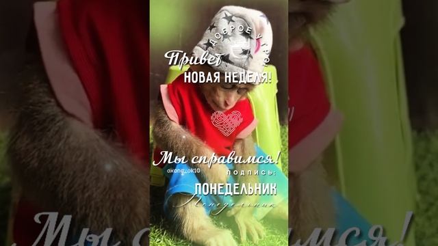 #понедельник