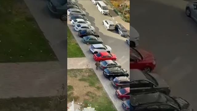 💬 В Новороссийске женщина устроила танцы на крыше чужого автомобиля.
