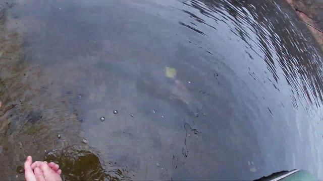ЗАКРЫТИЕ СЕЗОНА ЖИДКОЙ ВОДЫ.