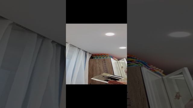 Давид собрал всю коллекцию насекомых