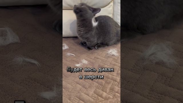 😻😻😻😻