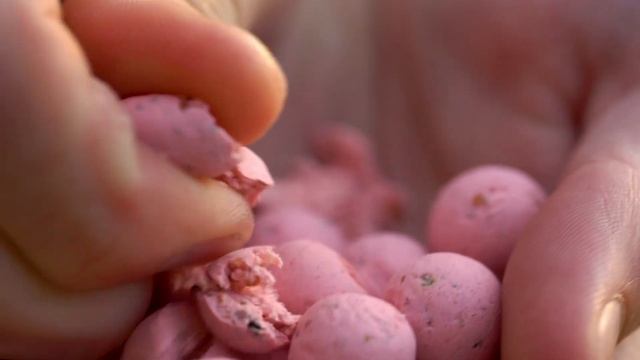 NashBait - Strawberry Crush