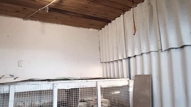 Приготовили сарай молодкам 🐤🐔Бесплатное мясо на зиму 🐥Живем в своем доме на Кубани🏡🦢🐤🐔